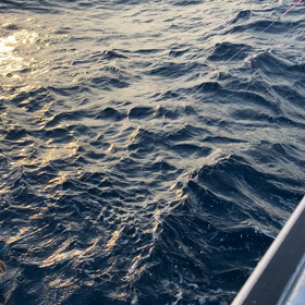 スルメ！の画像