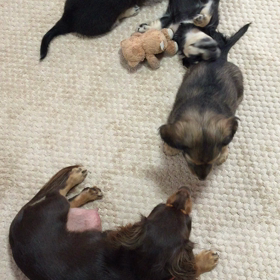 こんなになっちゃったぁ～♡の画像