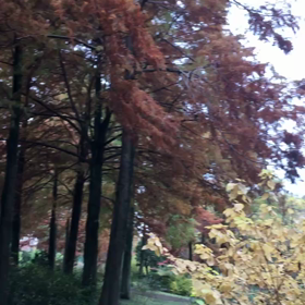 癒され時間の画像