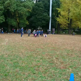 ダッシュ(黄色チーム)④の画像