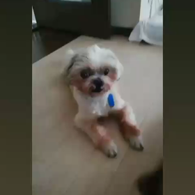 ありがと♪の画像