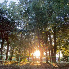 台風一過〜❤️の画像