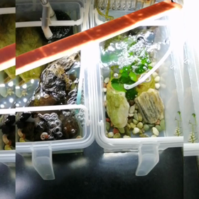 ”ノーマークでした”⇒⇒⇒⇒その後の画像