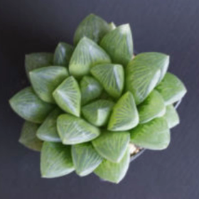 テレサをJAZZギターで歌う  あなたならどう弾く?の画像