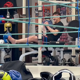 大癒しやなの画像