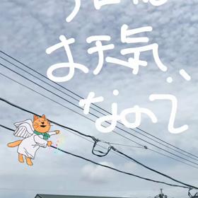吉と出るか凶と出るかの画像