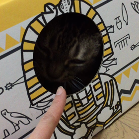 ねこモグラたたきの画像