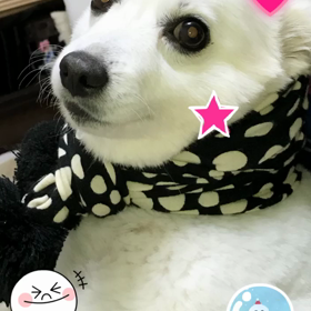 使用後❤️❤️の画像