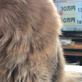 我家の濃厚接触者‼︎の画像