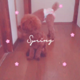 cutしたょの画像