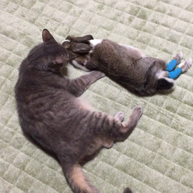 愛が溢れてますよ♡の画像