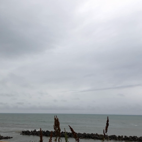 昨日のニュース、豪雨と刑の執行。の画像