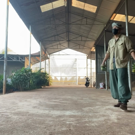 南斗甘蕉拳。の画像