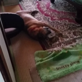 何してるの？の画像