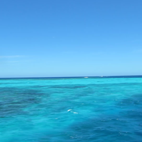 地球の青いところ〜八重千瀬〜の画像