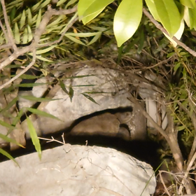 真冬キターッの画像