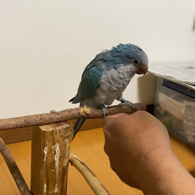 握手も✌️の画像