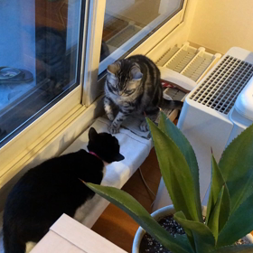 喧嘩すな！の画像