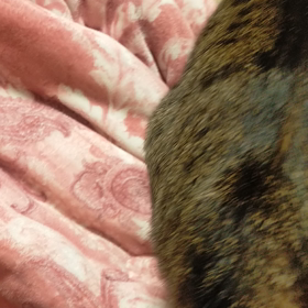 三郎〜マッサージの巻。の画像