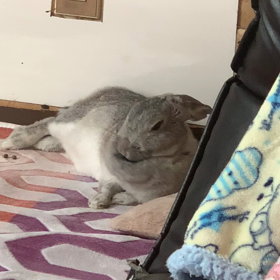 ゆかさんおめでと♡の画像