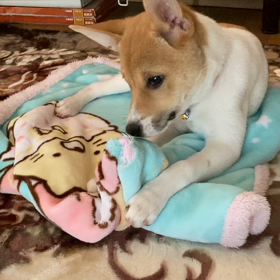 ハムハム中！の画像