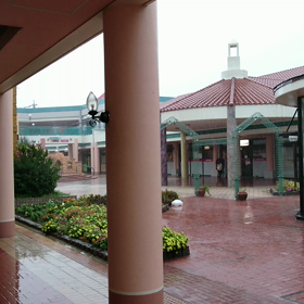 本日は台風接近のため14時に閉店致しましたの画像