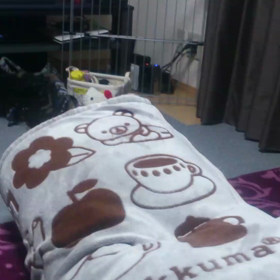 ぴょんぴょ んの画像