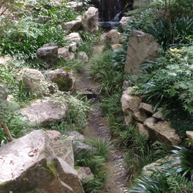 京都旅行の画像