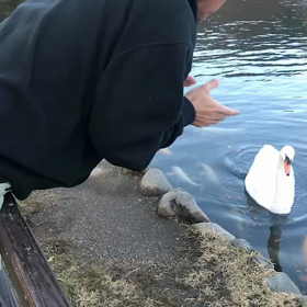 志高湖 ②。の画像
