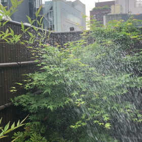 はぁの画像