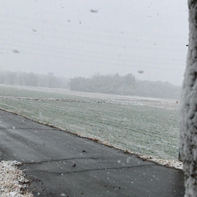 まさかの雪！！！の画像