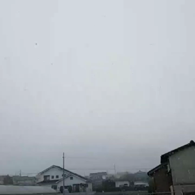 積もるかな？積もらないね❄の画像