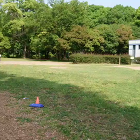 ６月１日 バトン練習③の画像