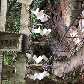 新しい仲間の画像