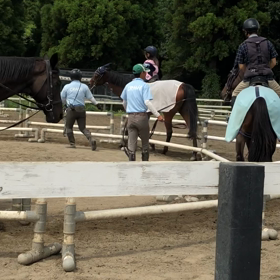 大人に混ざっての画像