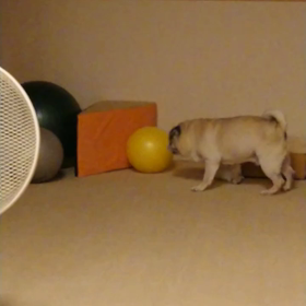 謝罪会見の画像