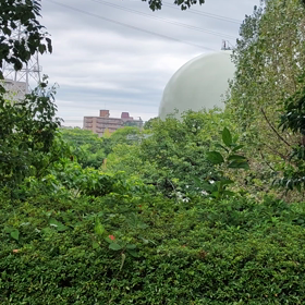 酔っばの戯言の画像