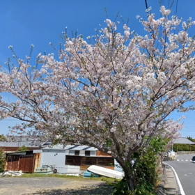 時の流れの早さを感じた事の画像