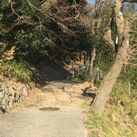 ちょっとお遊び〜の画像