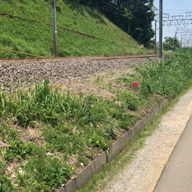 成長とNEXとの画像