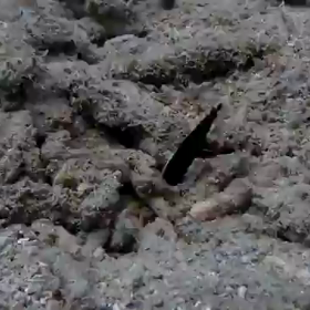 たまにはダイバーらしくの画像