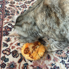 おせんべい食べたいの画像