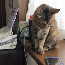 スマホデビュー(๑° ꒳ °๑)の画像