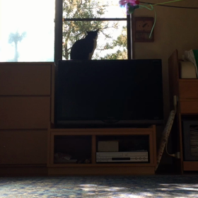 久しぶり…の画像