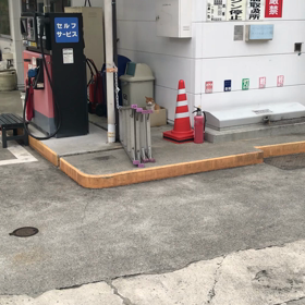 兵庫県赤穂市GSの猫の画像