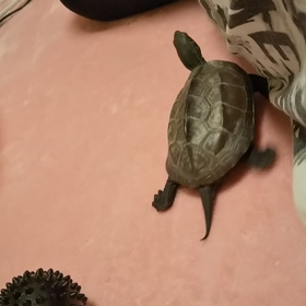 近い近い!!(^.^;の画 像