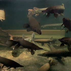 許可取っております‼️の画像