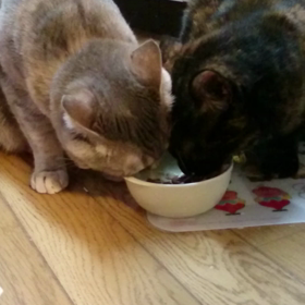 ツーショットだわ(笑)の画像