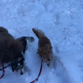 ♪お散歩動画♪代々木公園♪の画像