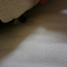 休日の戯れ･･･って言うのか これ。の画像